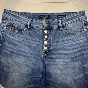 Judy Blue Slim Straight Rigid Women's 16W High Rise Button Fly Denim Jeans